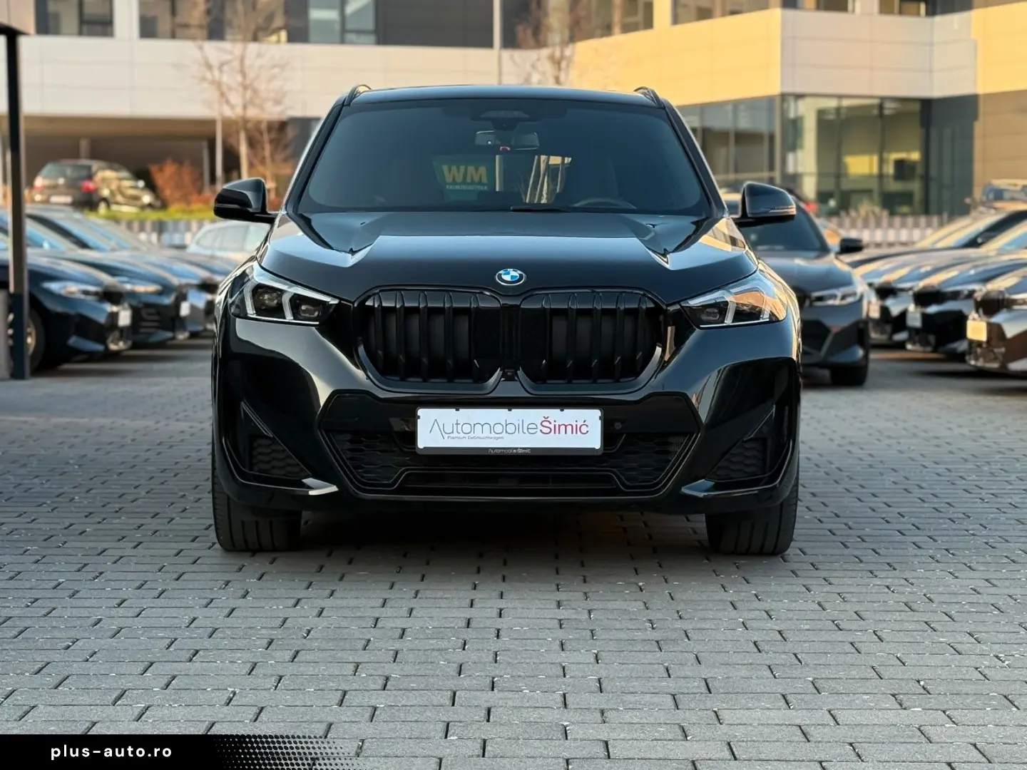 BMW X1 20 d xD M Sport AHK 20  hifi Pano HuD memory