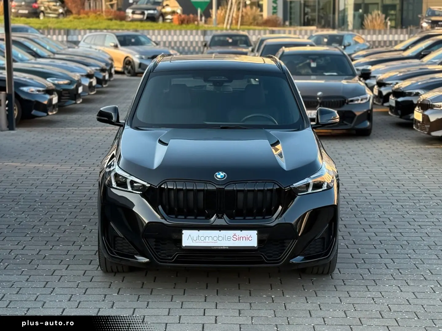BMW X1 20 d xD M Sport AHK 20  hifi Pano HuD memory