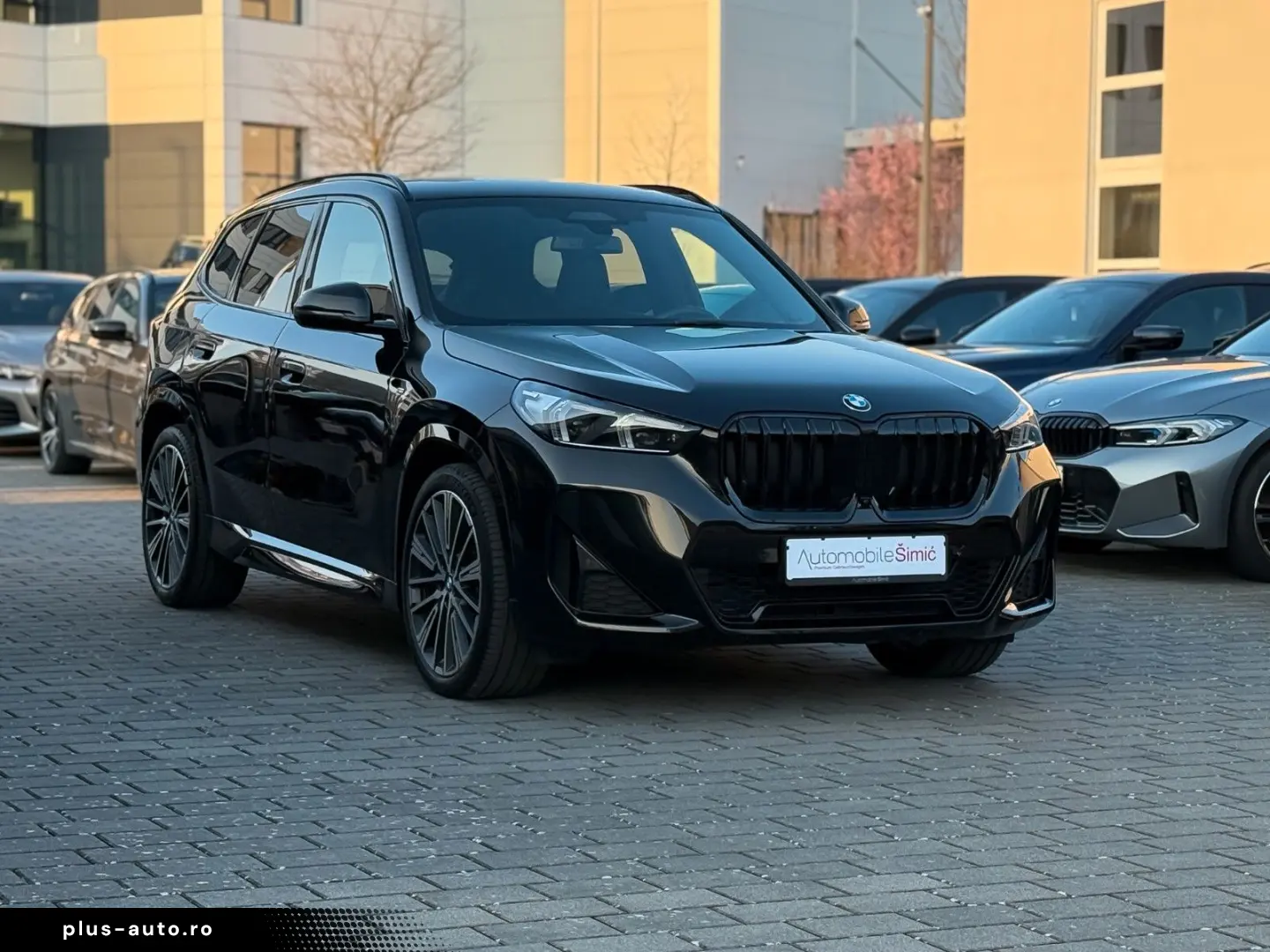 BMW X1 20 d xD M Sport AHK 20  hifi Pano HuD memory