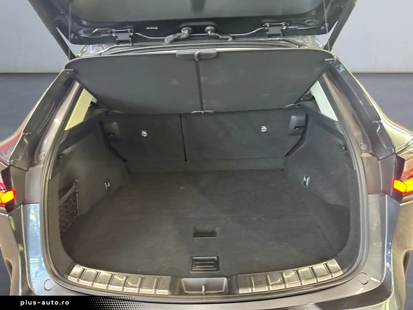 LEXUS NX 350h E-FOUR Luxury Line