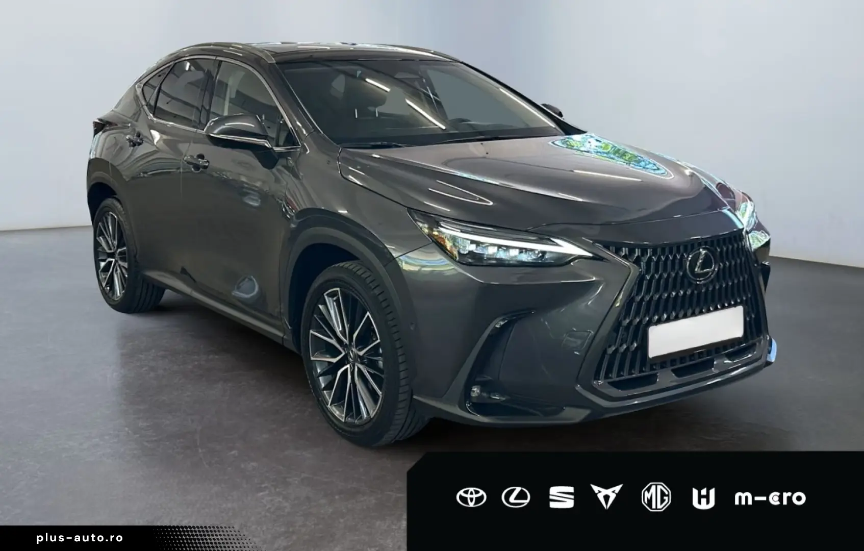 LEXUS NX 350h E-FOUR Luxury Line