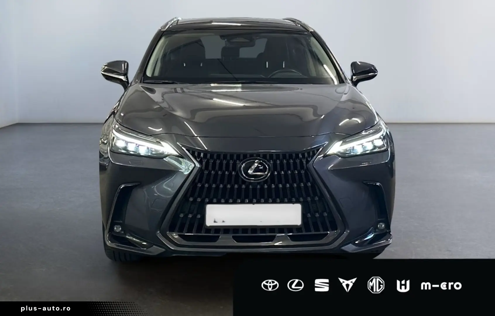 LEXUS NX 350h E-FOUR Luxury Line