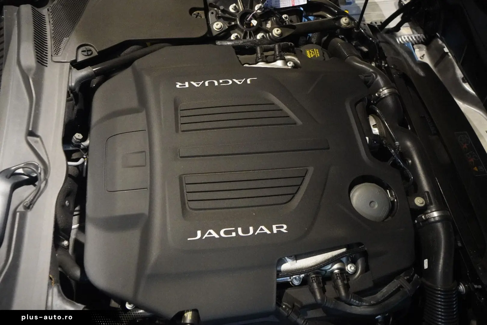 JAGUAR F-Type  V8  R-Dynamic AWD-BRD-U-Frei-Balck Pack