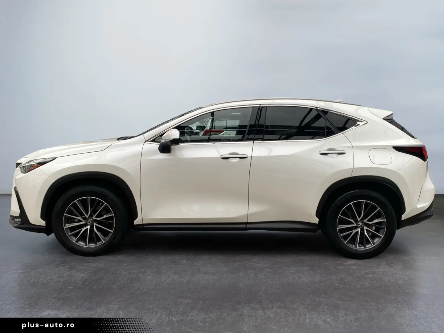 LEXUS NX 450h  E-FOUR Executive 360 Ventilation