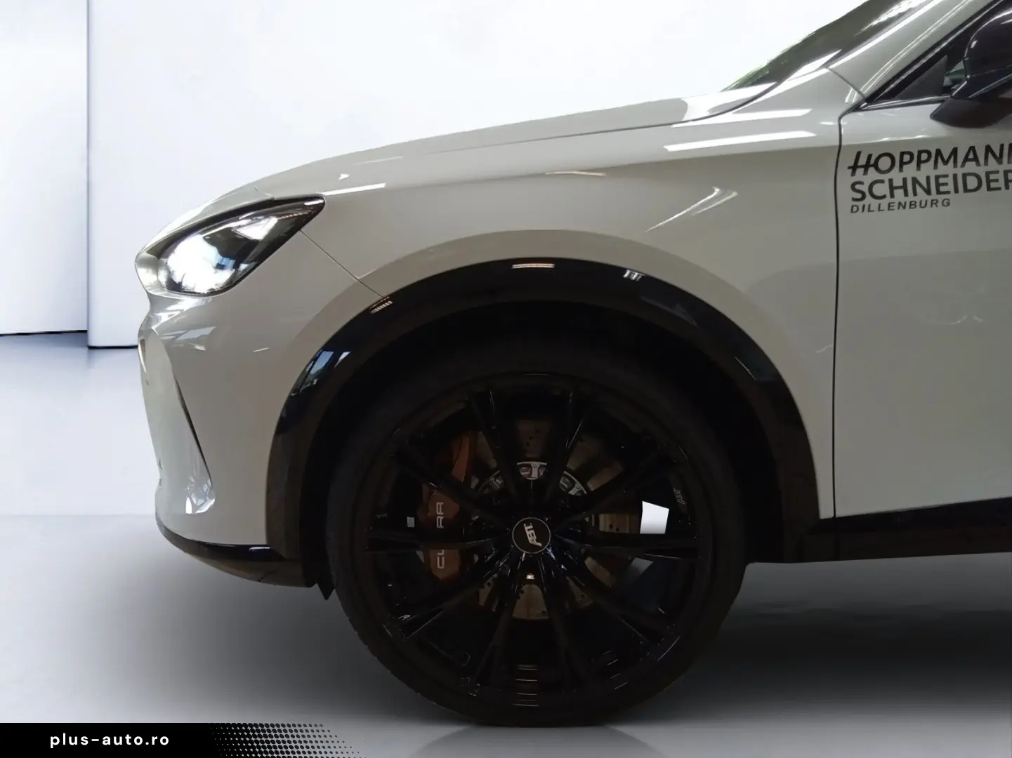 CUPRA Formentor 2.0 TSI-4Drive-VZ Extreme- AHK-Skyline