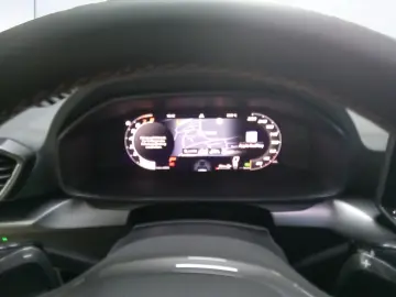 CUPRA Formentor 2.0 TSI-4Drive-VZ Extreme- AHK-Skyline