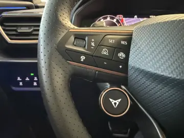 CUPRA Formentor VZ 333PS 4Drive AHK Pano Matrix Sound