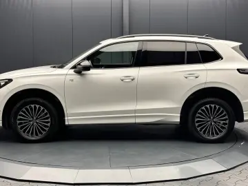 VW Tiguan 2.0 TDI 4Mot. R-Line Black Style PANORAMA