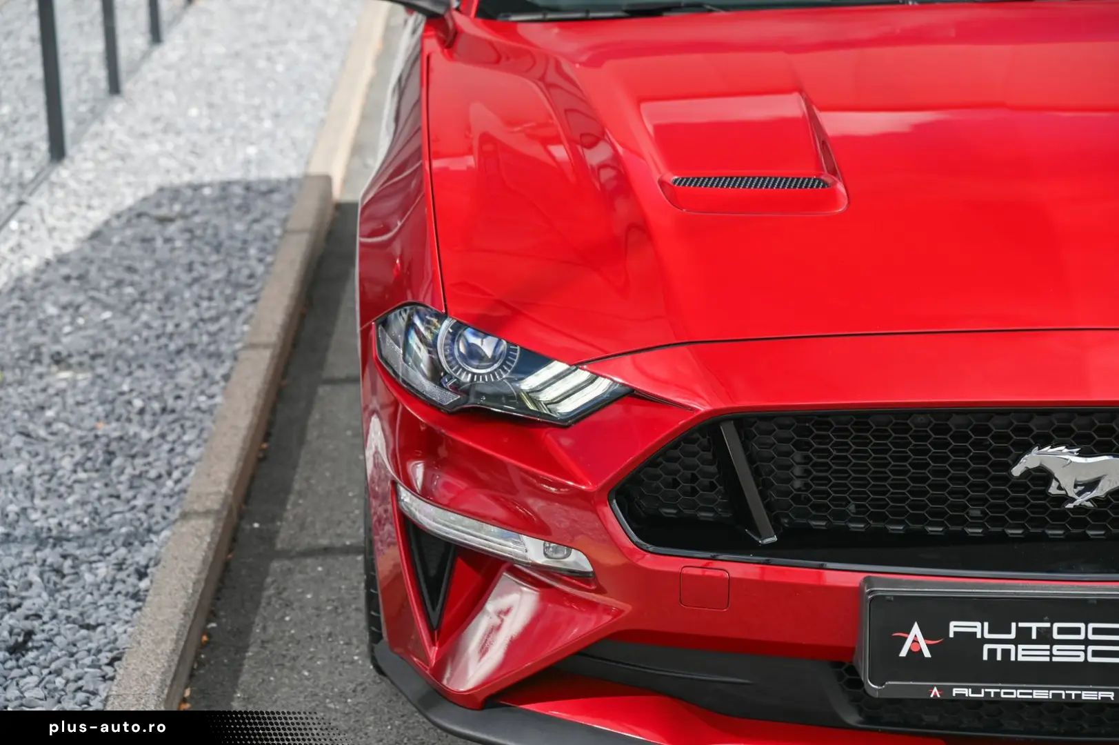 FORD Mustang 5.0 Ti-VCT V8 GT Aut. KW V3  Premium 3