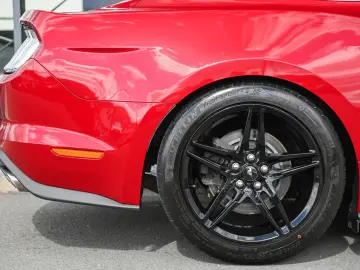 FORD Mustang 5.0 Ti-VCT V8 GT Aut. KW V3  Premium 3