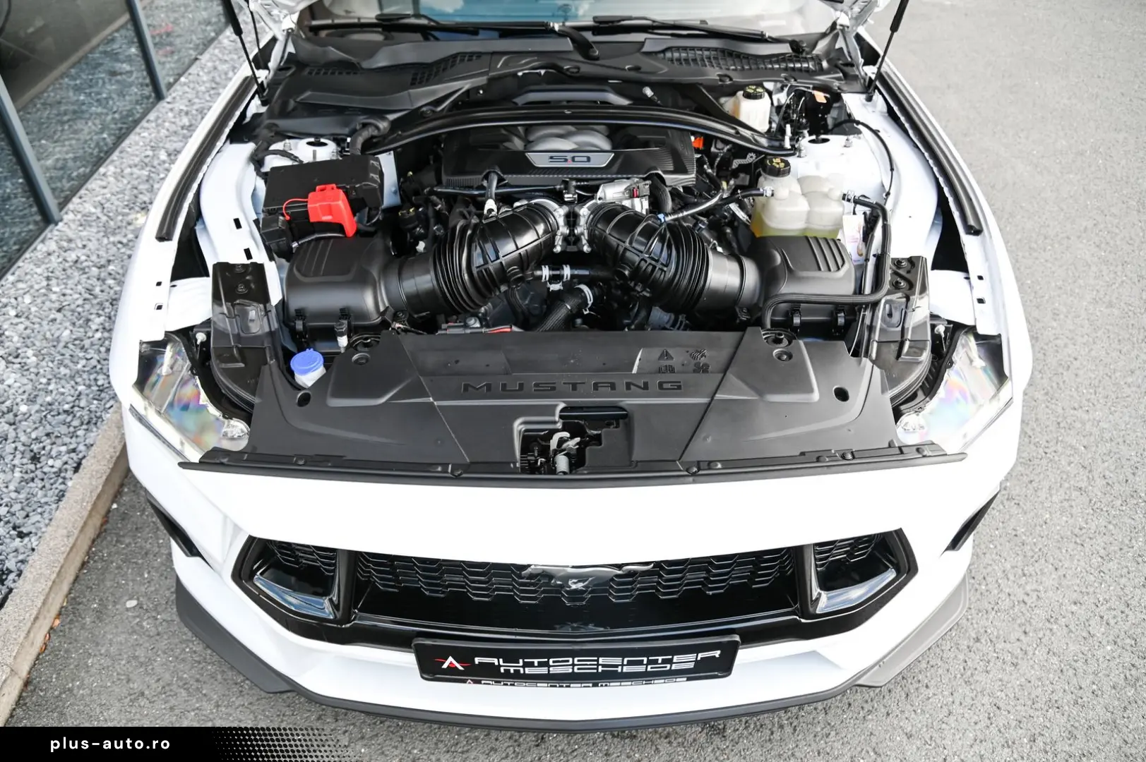 FORD Mustang 5.0 Ti-VCT V8 GT Aut. Navi  B&O  Kamera