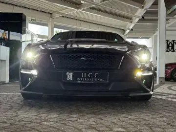 FORD Mustang GT V8 Fastback Aut.   KW V3 Leder rot