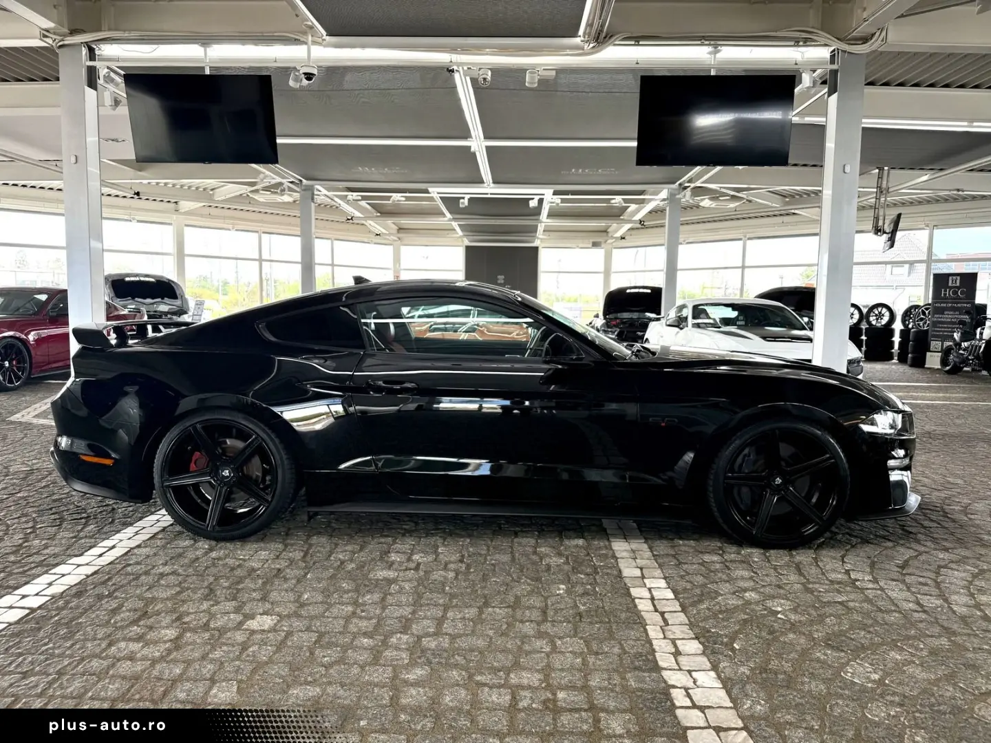 FORD Mustang GT V8 Fastback Aut.   KW V3 Leder rot