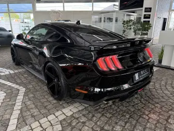 FORD Mustang GT V8 Fastback Aut.   KW V3 Leder rot