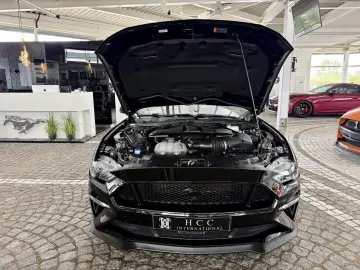 FORD Mustang GT V8 Fastback Aut.   KW V3 Leder rot