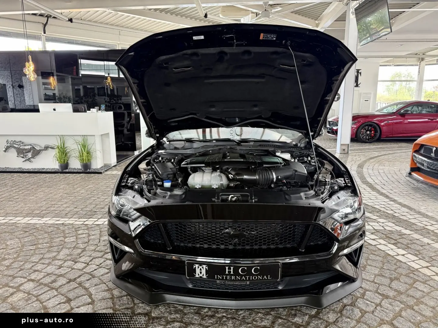 FORD Mustang GT V8 Fastback Aut.   KW V3 Leder rot