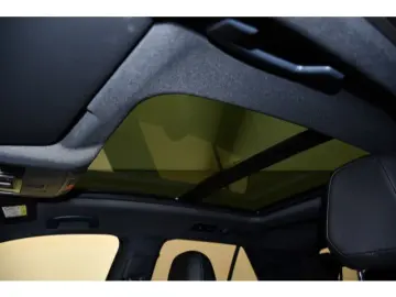 VW T-Roc 2.0 TSI 4M DSG R Black Style Matrix Leder