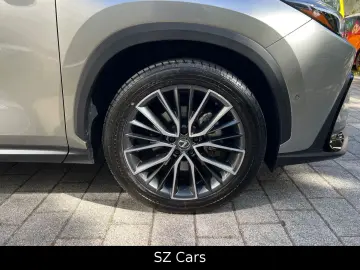 LEXUS NX 350h Luxury Line Head-up LED 360