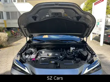 LEXUS NX 350h Luxury Line Head-up LED 360