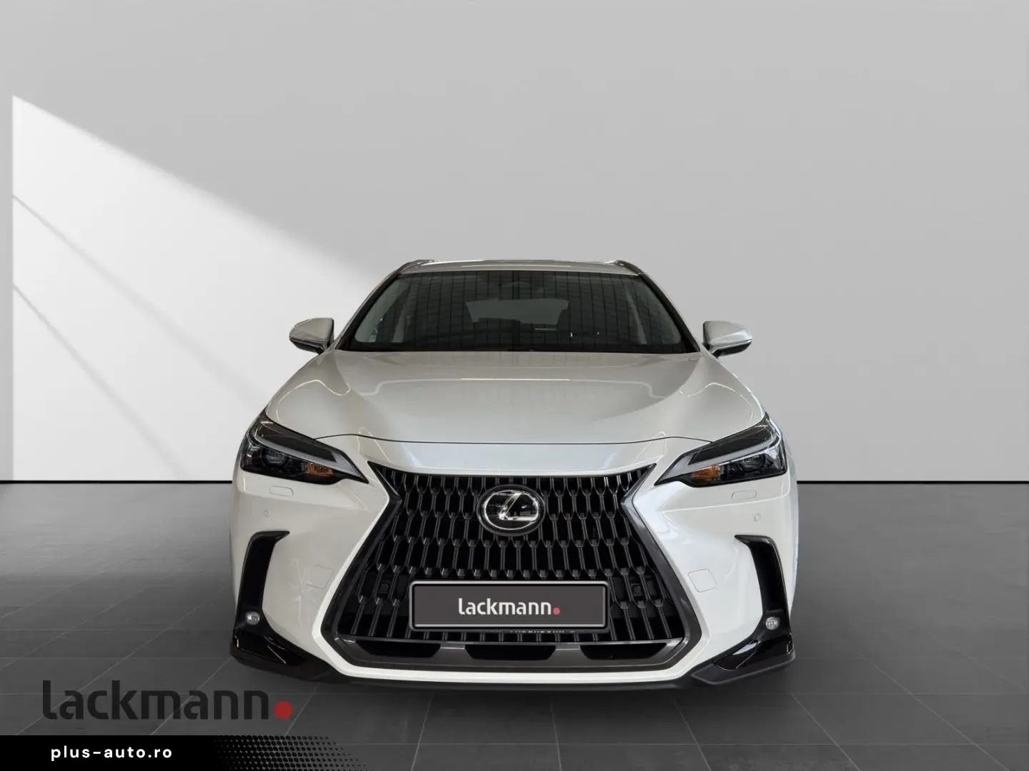 LEXUS NX 450h  E-FOUR Business
