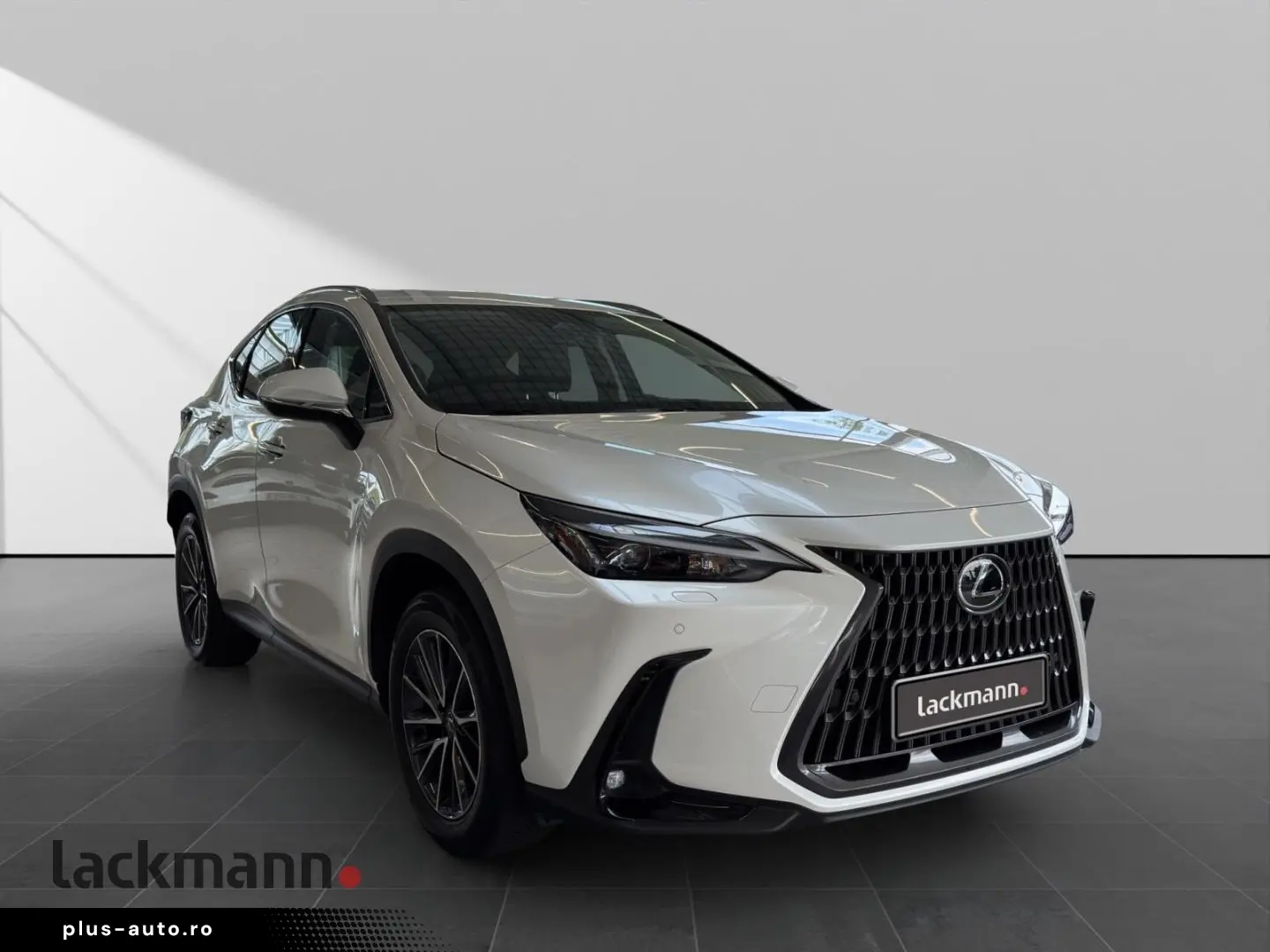 LEXUS NX 450h  E-FOUR Business
