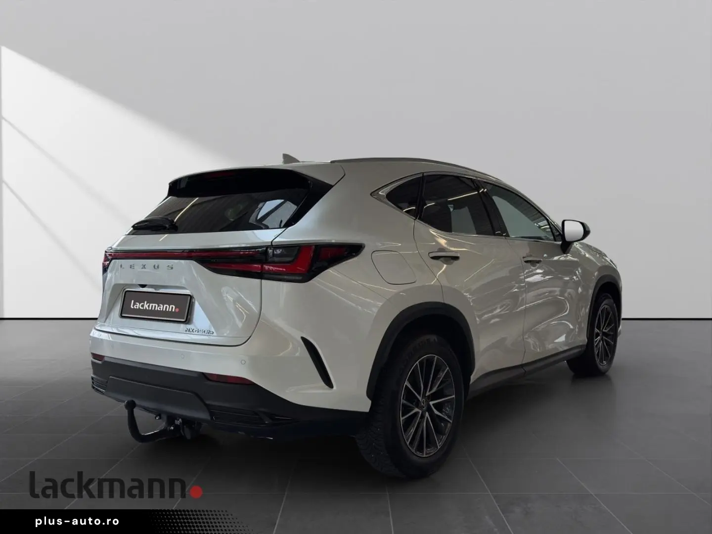 LEXUS NX 450h  E-FOUR Business