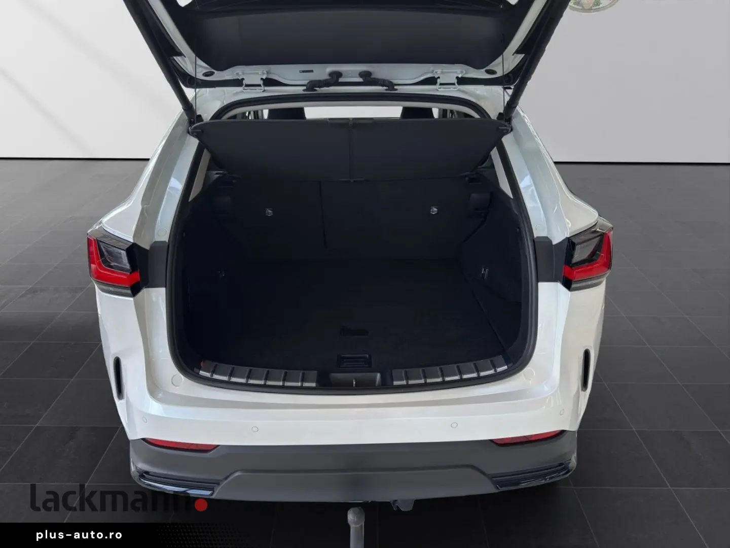 LEXUS NX 450h  E-FOUR Business