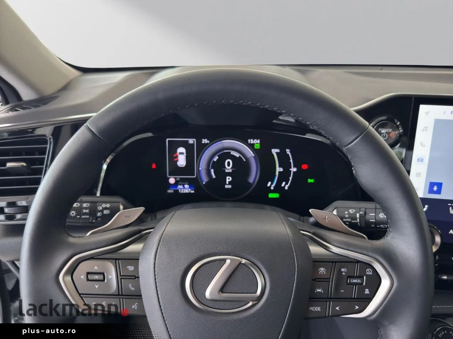 LEXUS NX 450h  E-FOUR Business