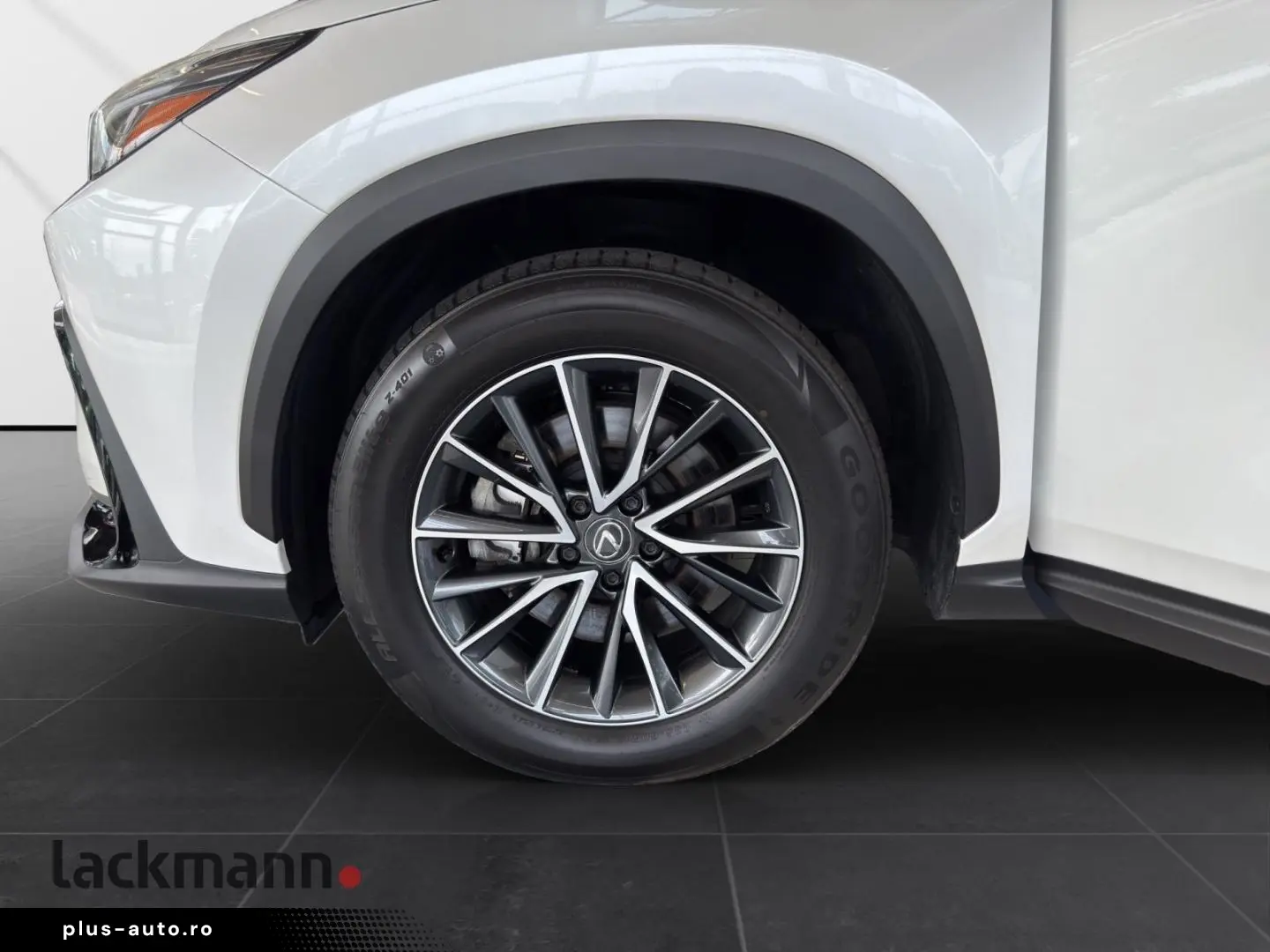 LEXUS NX 450h  E-FOUR Business