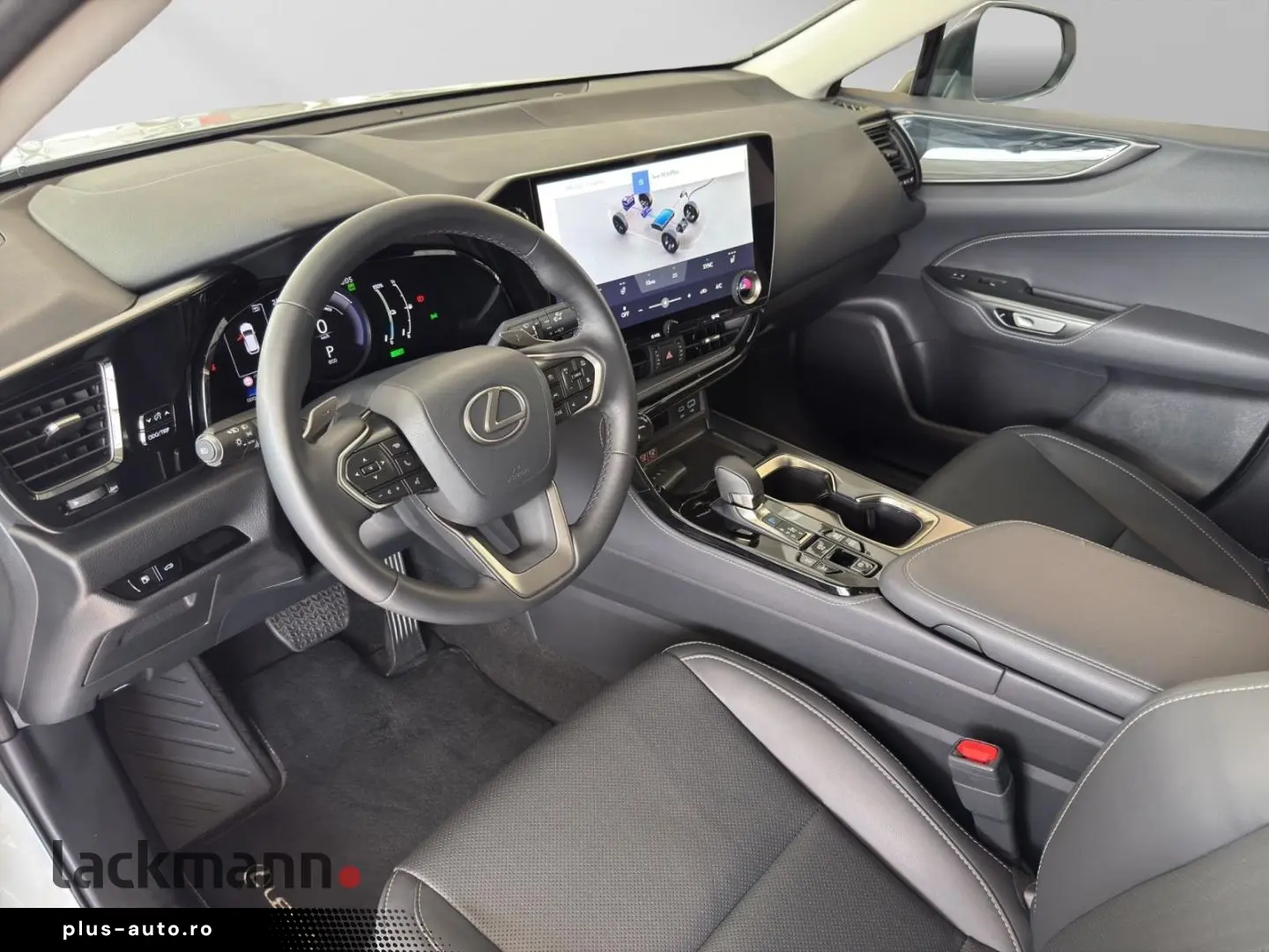 LEXUS NX 450h  E-FOUR Business