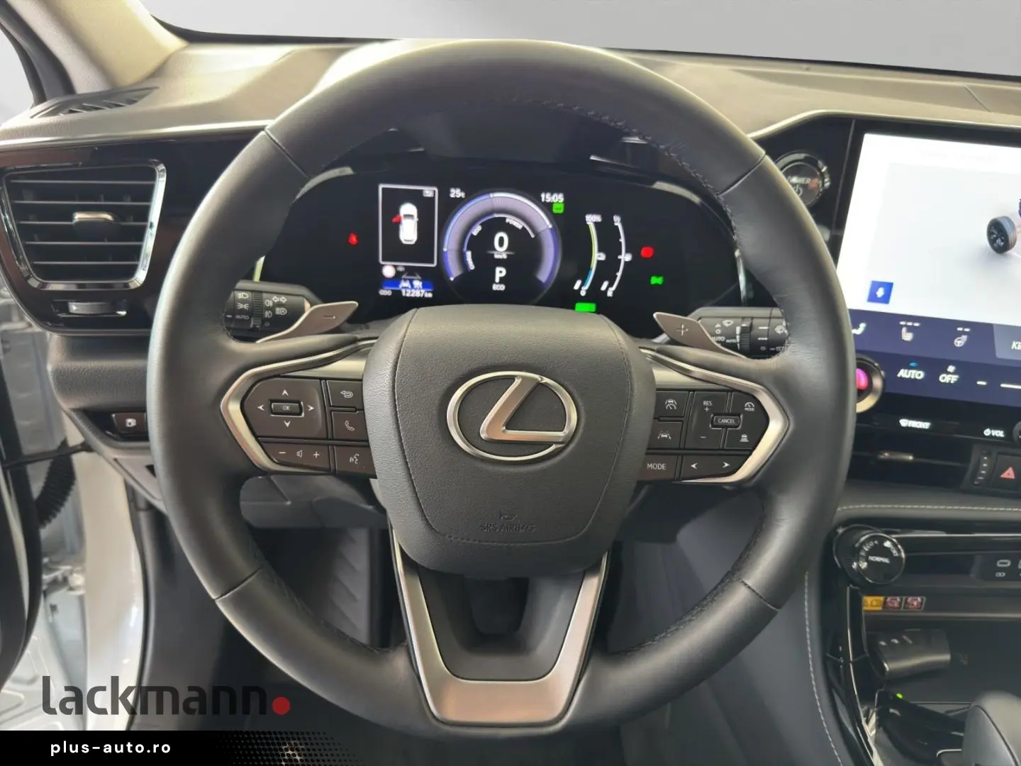 LEXUS NX 450h  E-FOUR Business