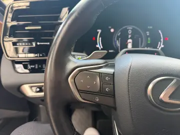 LEXUS RX 450h   E-FOUR Executive Line  Matrix HUD 360