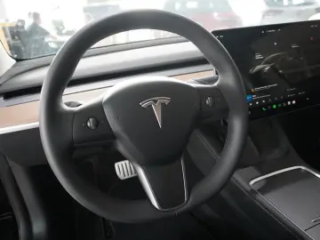 Tesla Model 3 PERFORMANCE DUAL-MOTOR