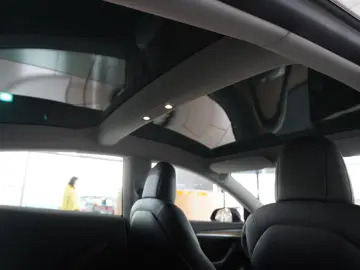 Tesla Model 3 PERFORMANCE DUAL-MOTOR
