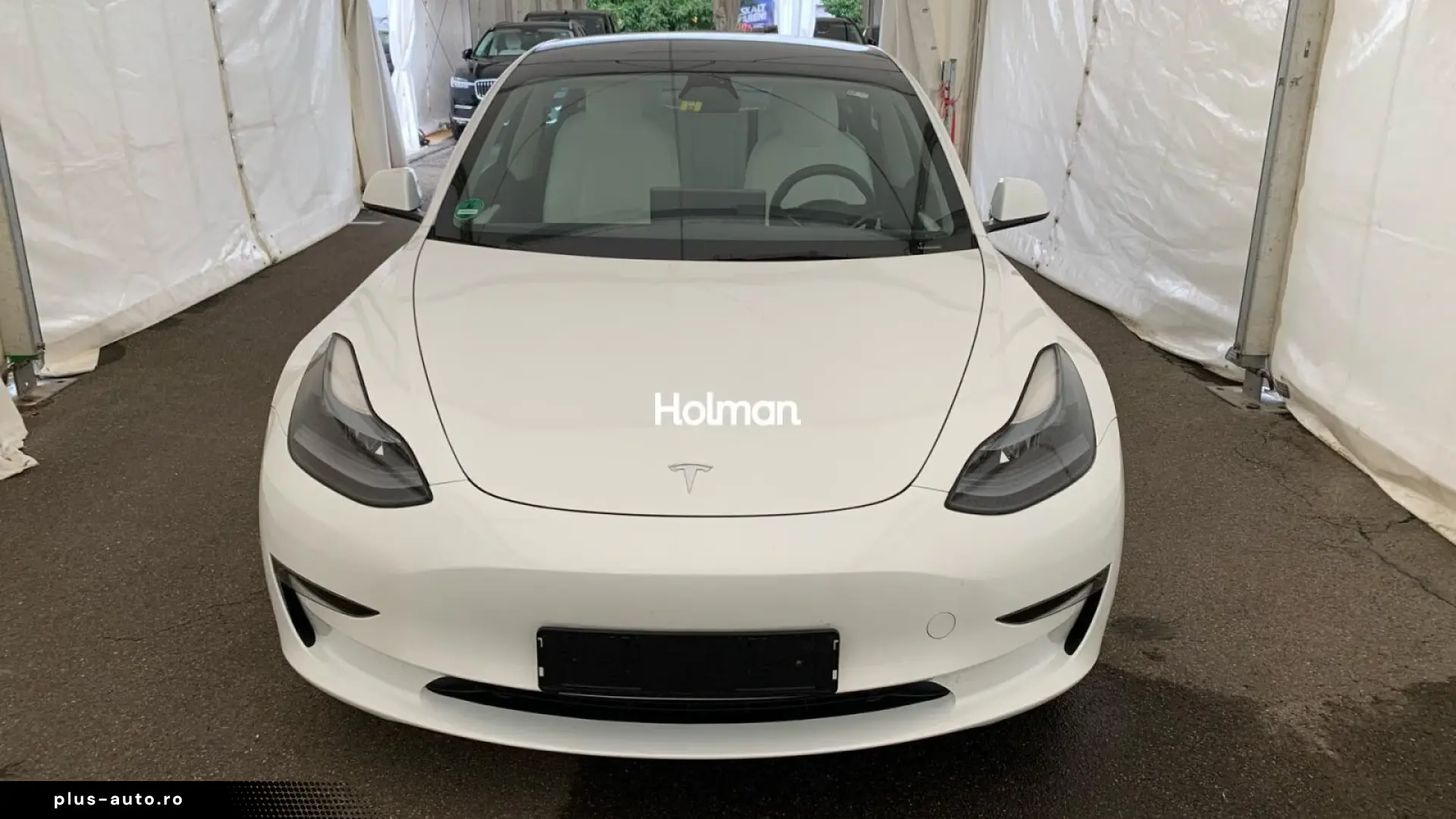 Tesla Model 3 Performance