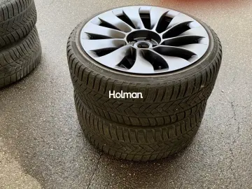 Tesla Model 3 Performance