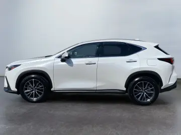 LEXUS NX 350h Executive Line  Bi-LED 360  ACC el. Heck