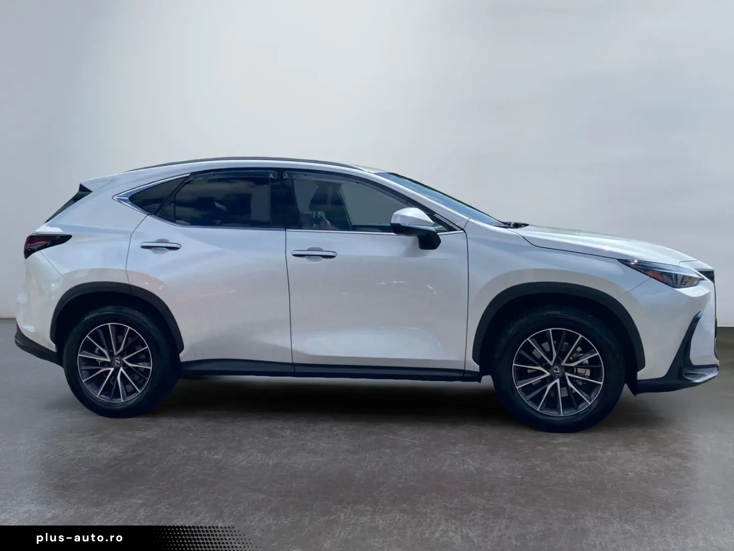 LEXUS NX 350h Executive Line  Bi-LED 360  ACC el. Heck