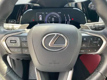 LEXUS NX 350h Executive Line  Bi-LED 360  ACC el. Heck