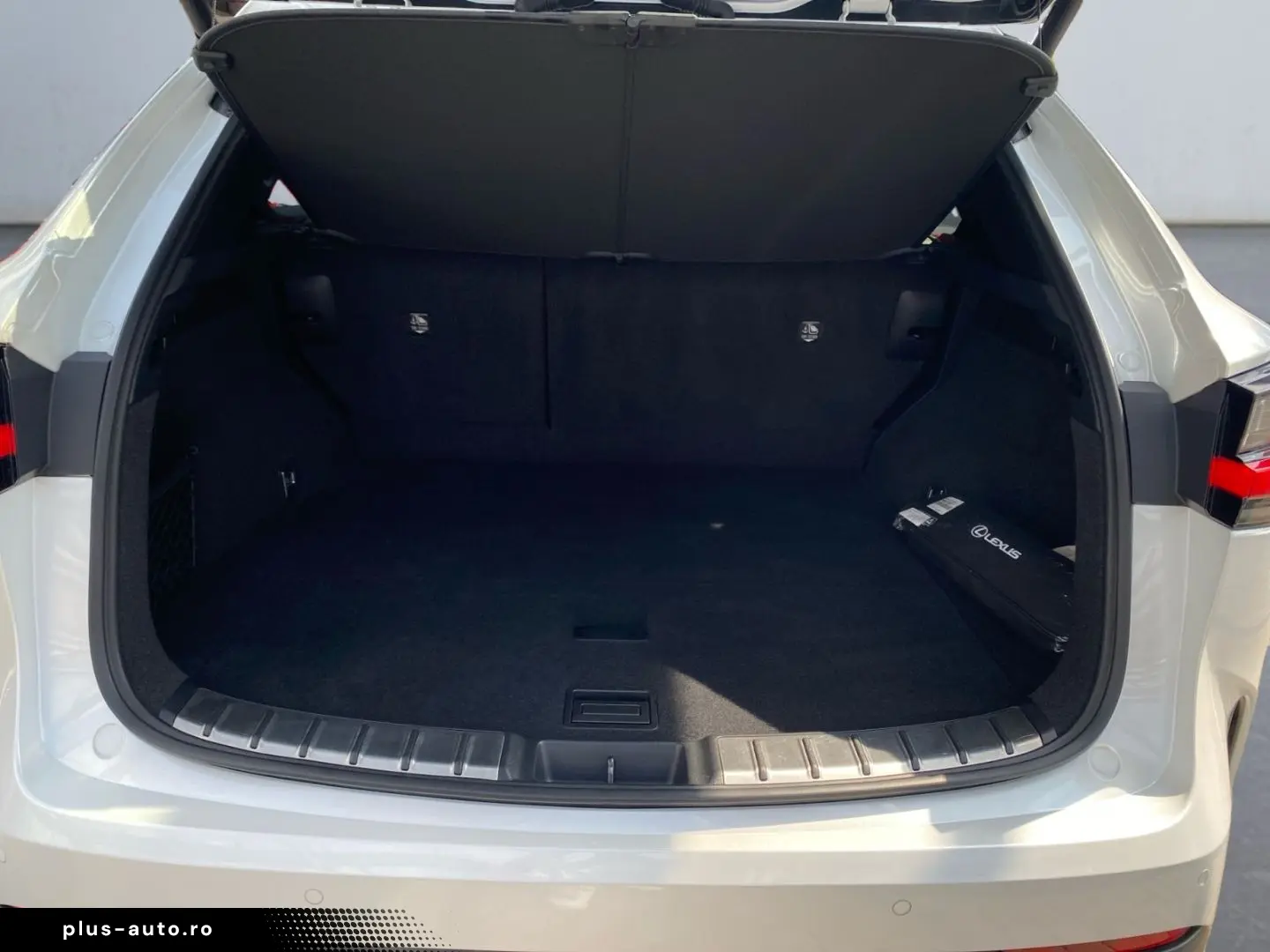 LEXUS NX 350h Executive Line  Bi-LED 360  ACC el. Heck