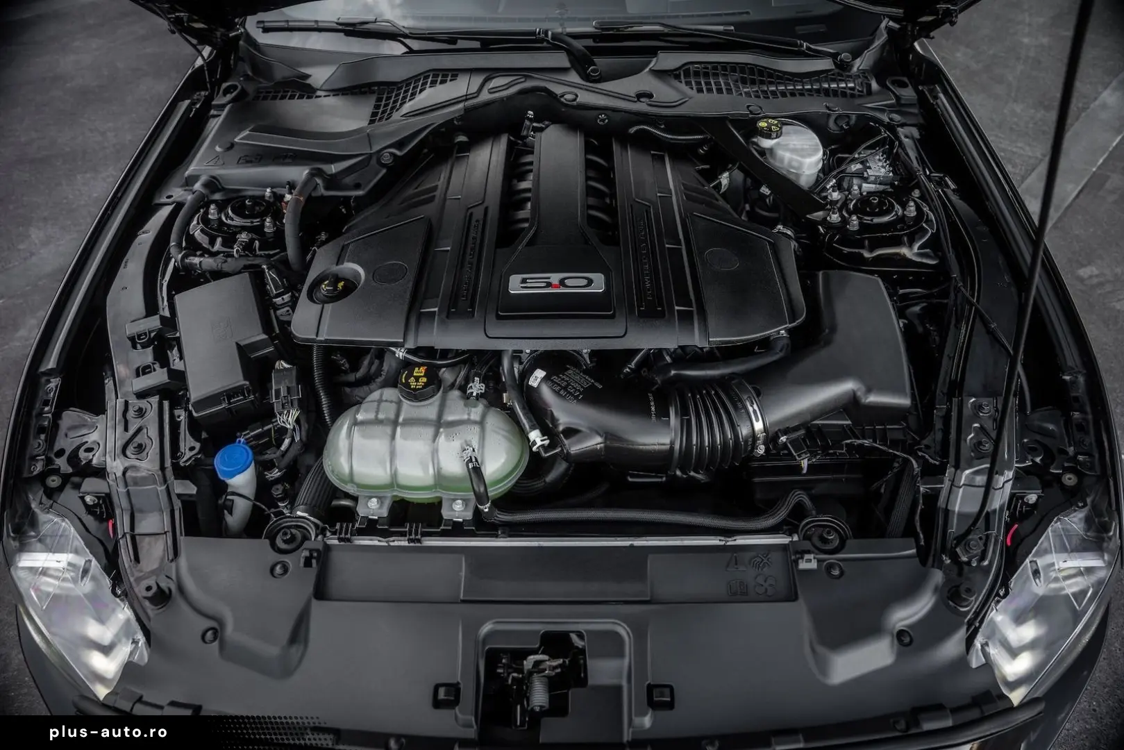 FORD Mustang 5.0 Ti-VCT V8 Fast. GT BESONDERE EXTRAS!