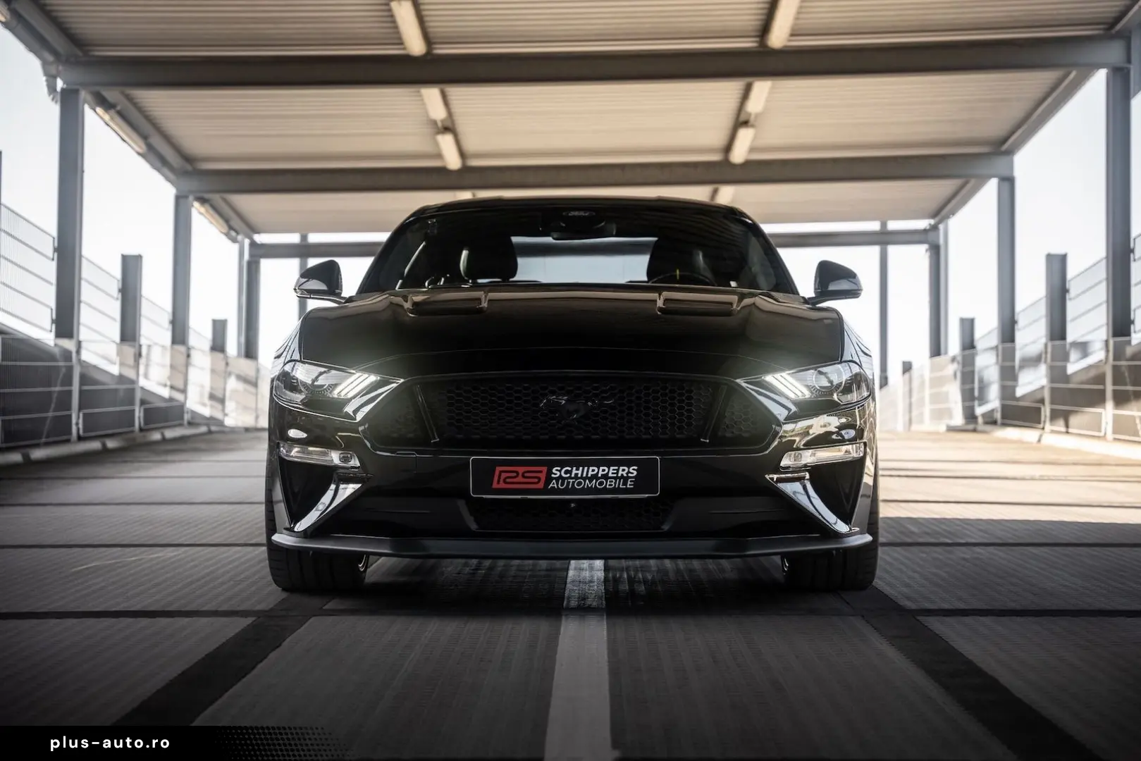 FORD Mustang 5.0 Ti-VCT V8 Fast. GT BESONDERE EXTRAS!