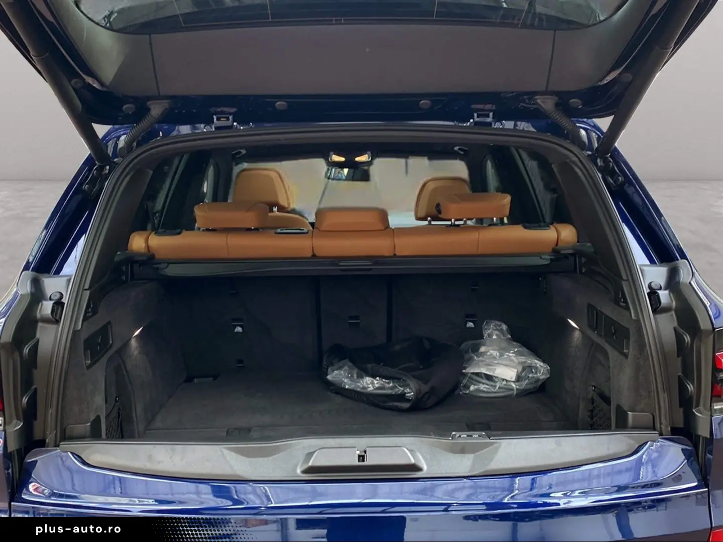 BMW X5 xDrive50e M Sport Driv.Assist.Prof Harman K