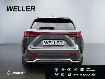 LEXUS NX 450h  F Sport  Allrad Matrix HUD 360  4x SHZ