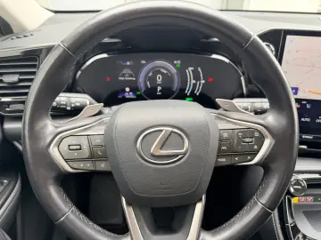 LEXUS NX 450h  E-FOUR Business Edition