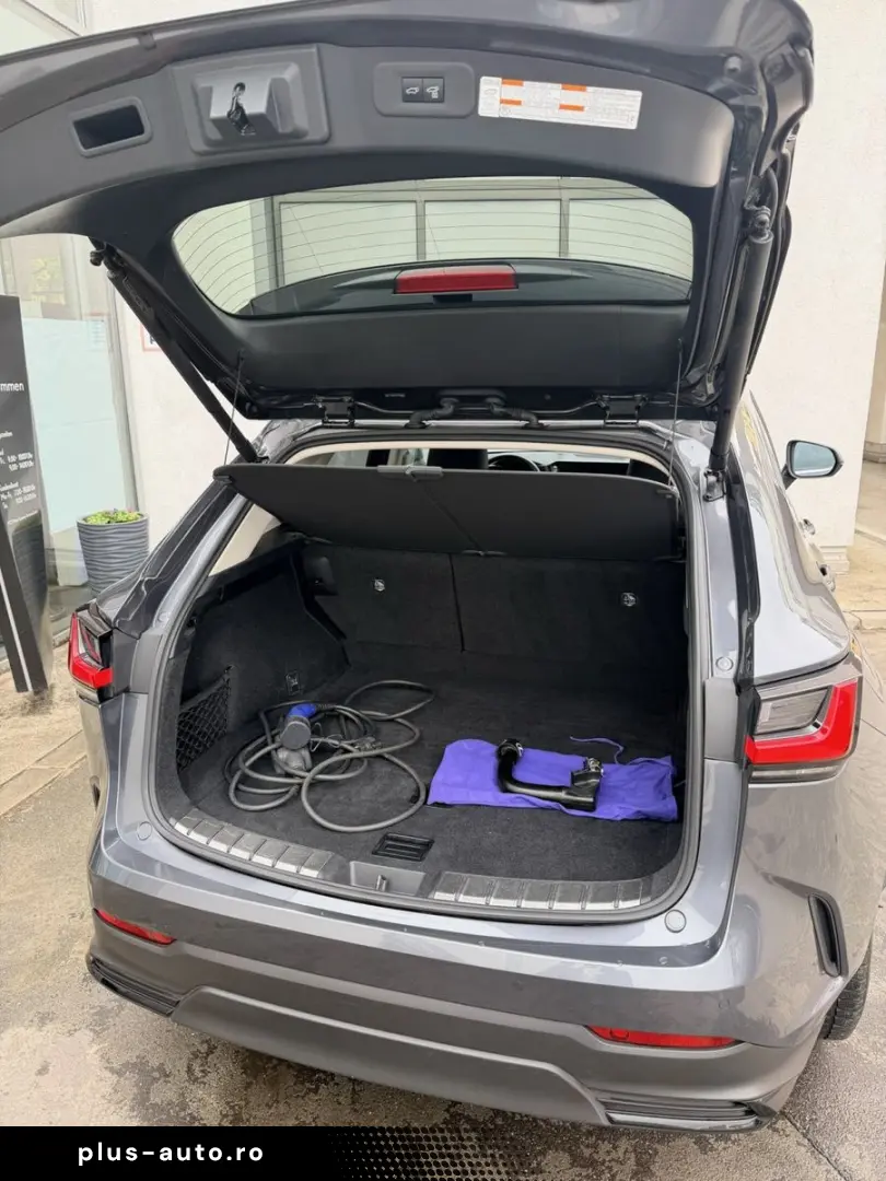 LEXUS NX 450h  E-FOUR Business Edition