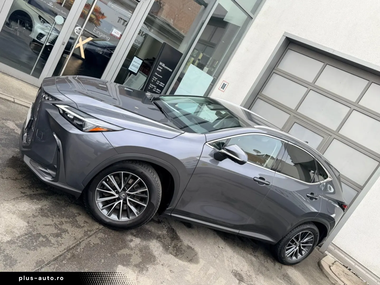 LEXUS NX 450h  E-FOUR Business Edition