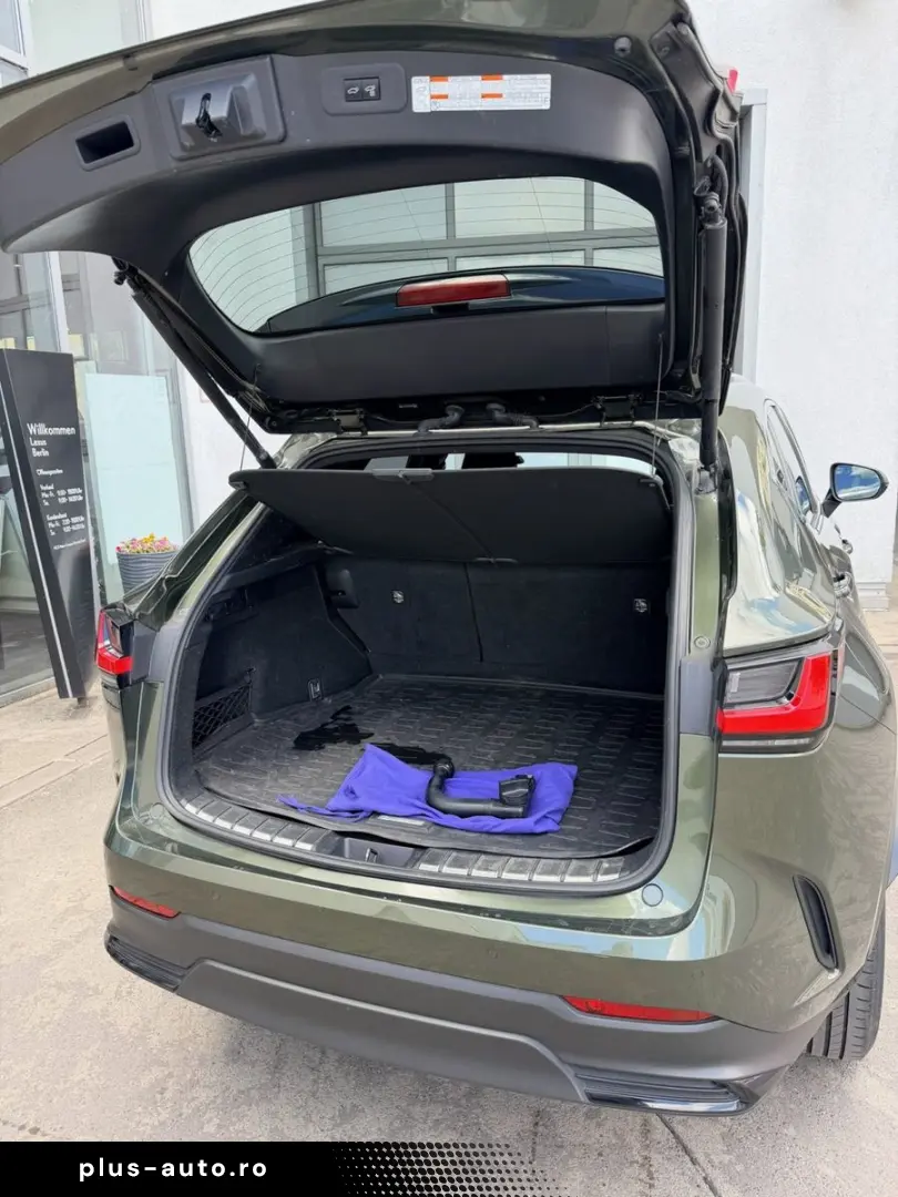 LEXUS NX 450h  E-FOUR Business Edition
