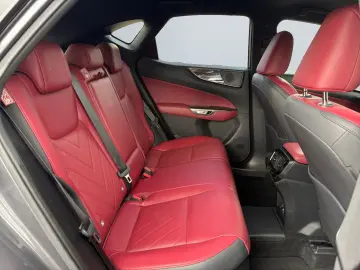 LEXUS NX 450h  E-FOUR Executive Paket  LED 360  ACC SH