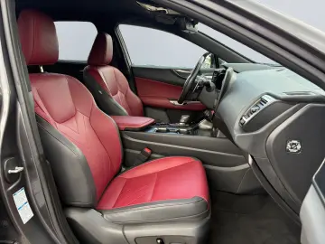 LEXUS NX 450h  E-FOUR Executive Paket  LED 360  ACC SH